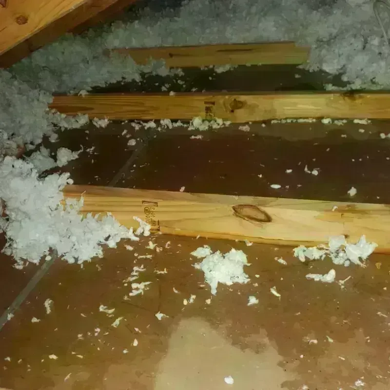 Attic Water Damage in Leon County, TX