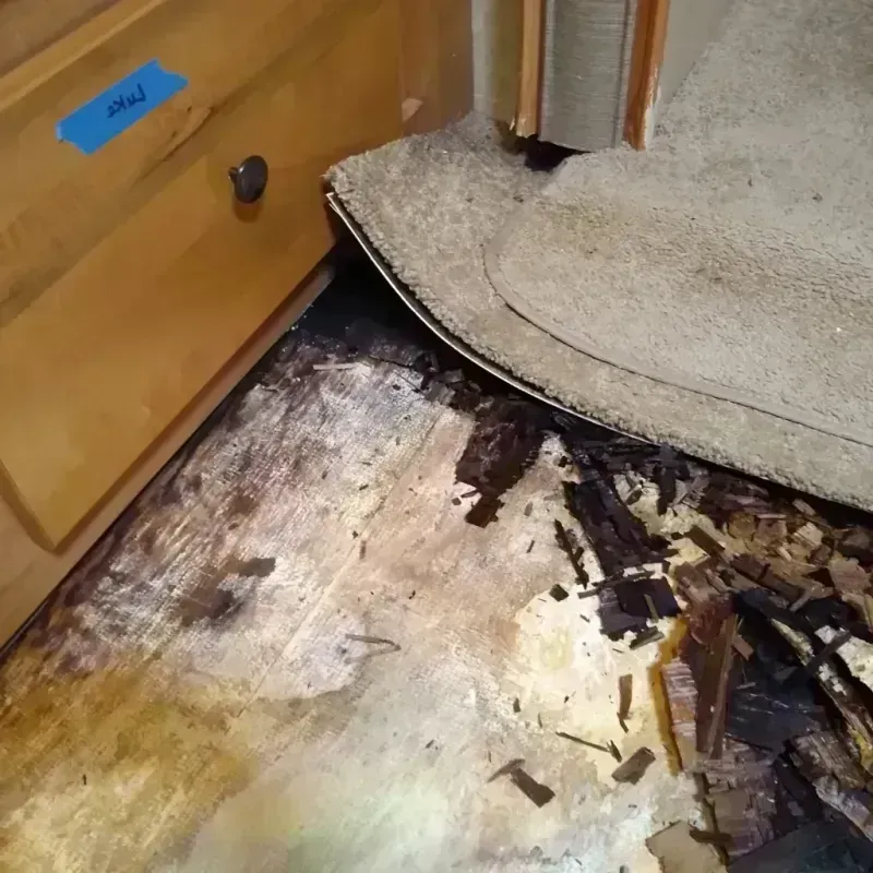 Best Wood Floor Water Damage Service in Leon County, TX